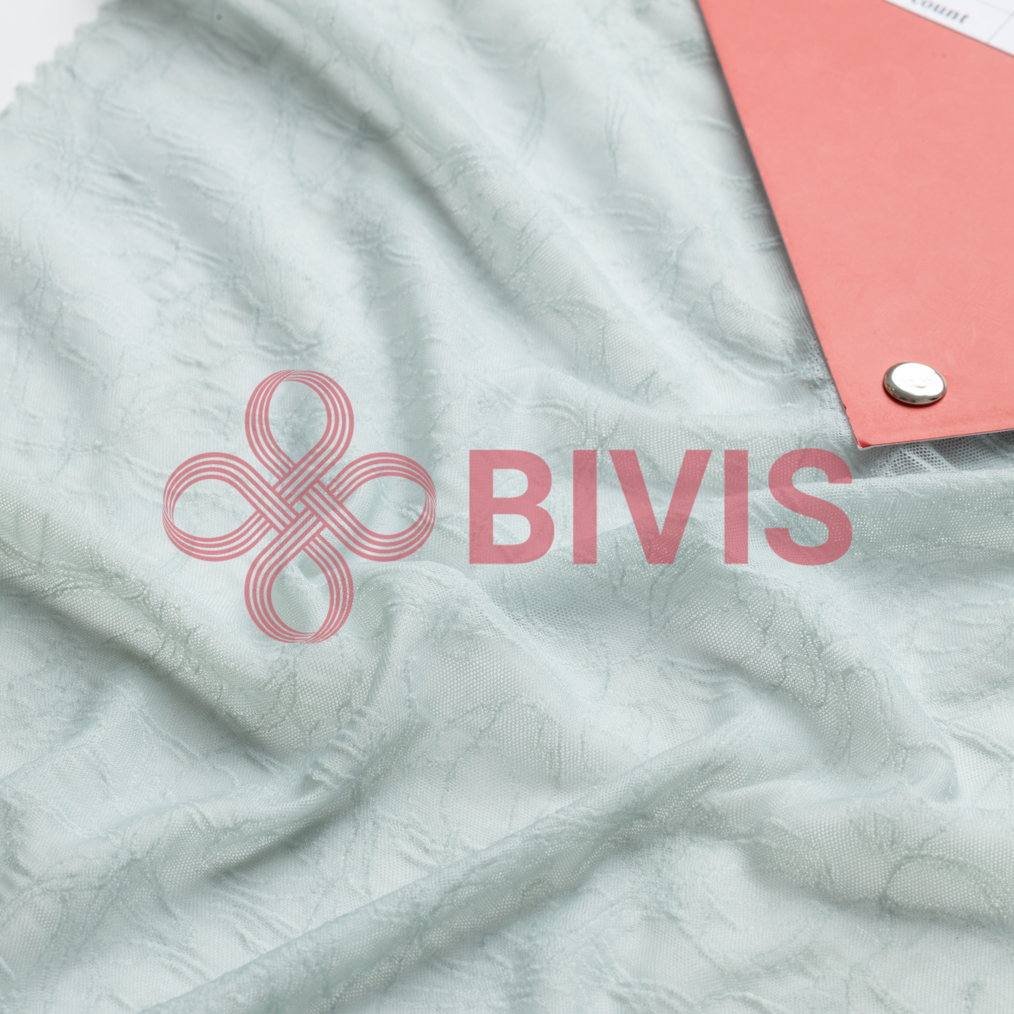 BV-Q019